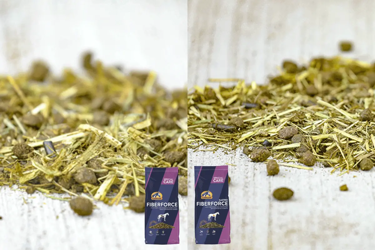 Semblables mais différents : Cavalor FiberForce & FiberForce Gastro