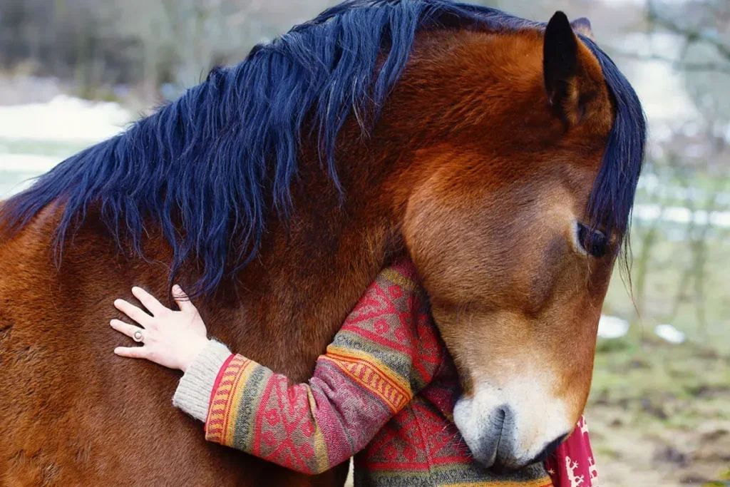 Tips on strengthening your horse’s immune system