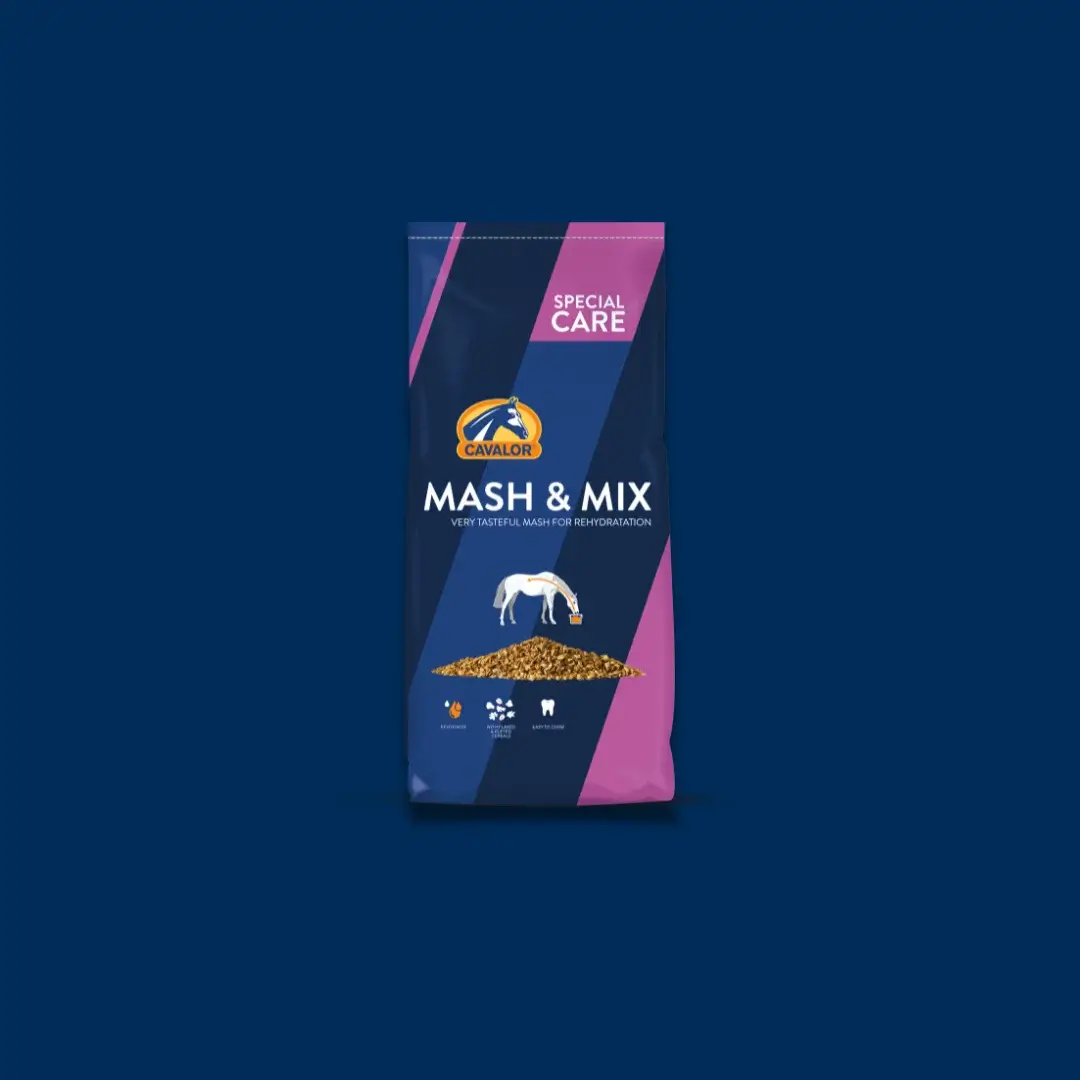 Mash & Mix