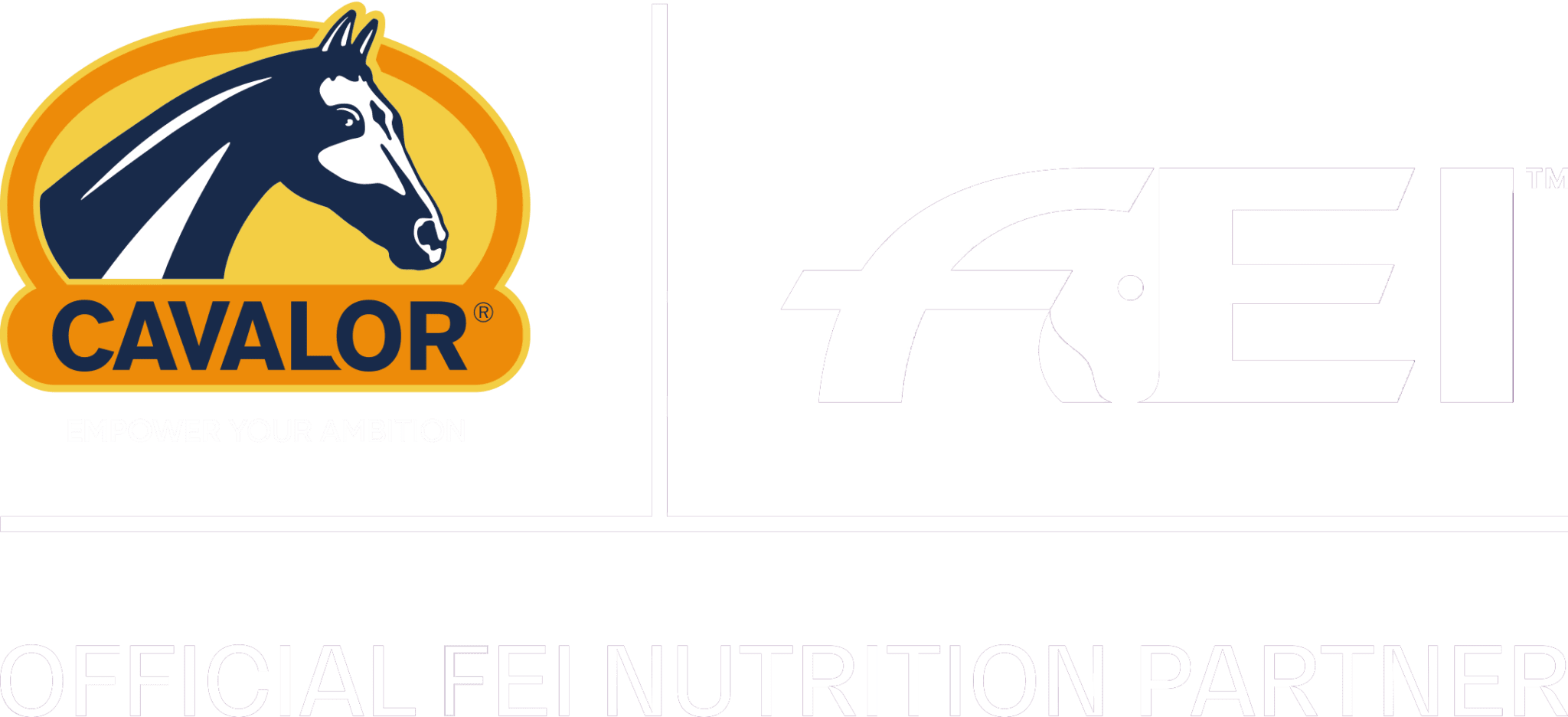 fei partner