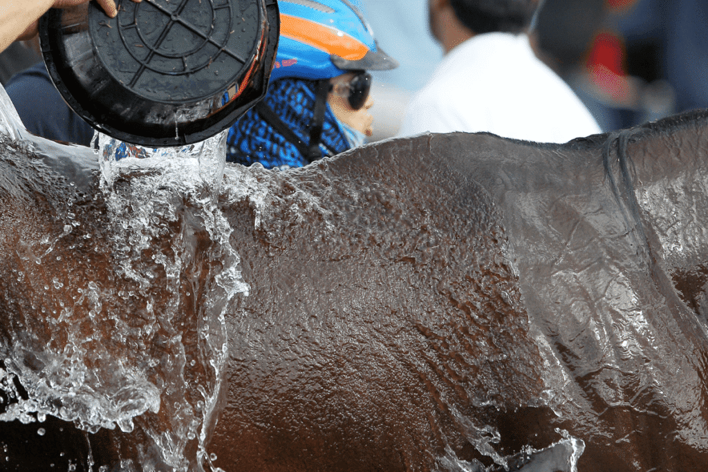 Sport in hot temperatures