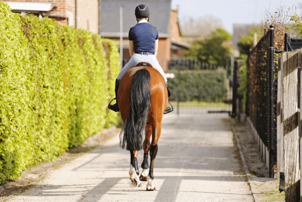 Optimal recovery after exercise