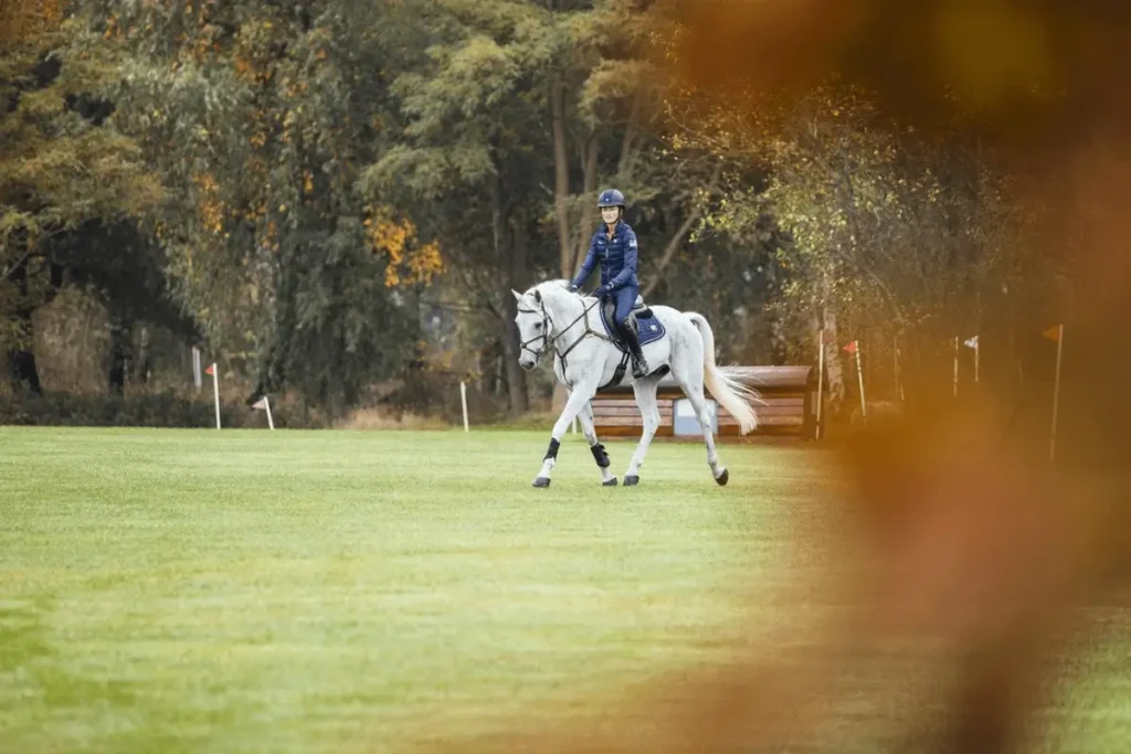 Preparing your sport horse for the competition season: training, nutrition and recovery