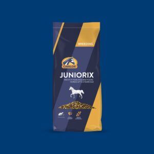 Juniorix