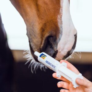 FreeBute Paste