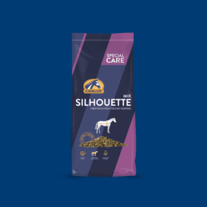 Silhouette
