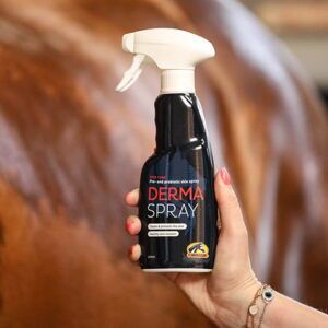 Derma Spray