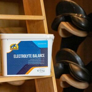 Electrolyte Balance