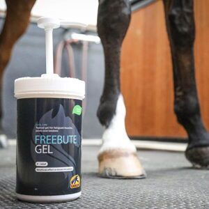 FreeBute Gel