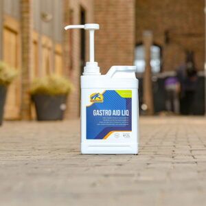 Gastro Aid Liq