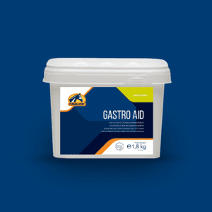 Gastro Aid