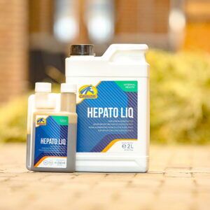 Hepato Liq