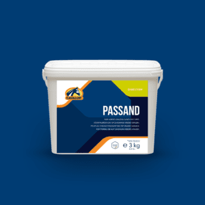 PasSand