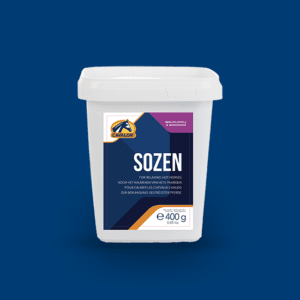 SoZen