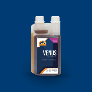 Venus