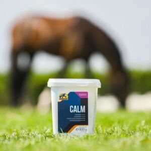 Calm