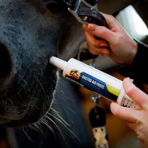 Gastro Aid Paste