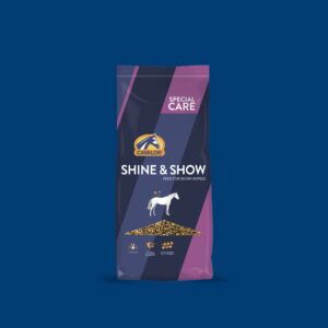Shine & Show