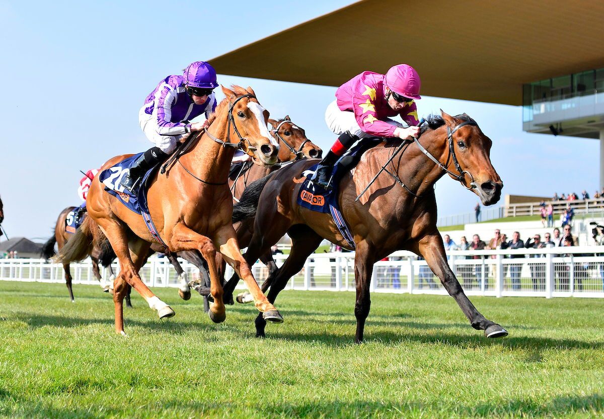 curragh_8