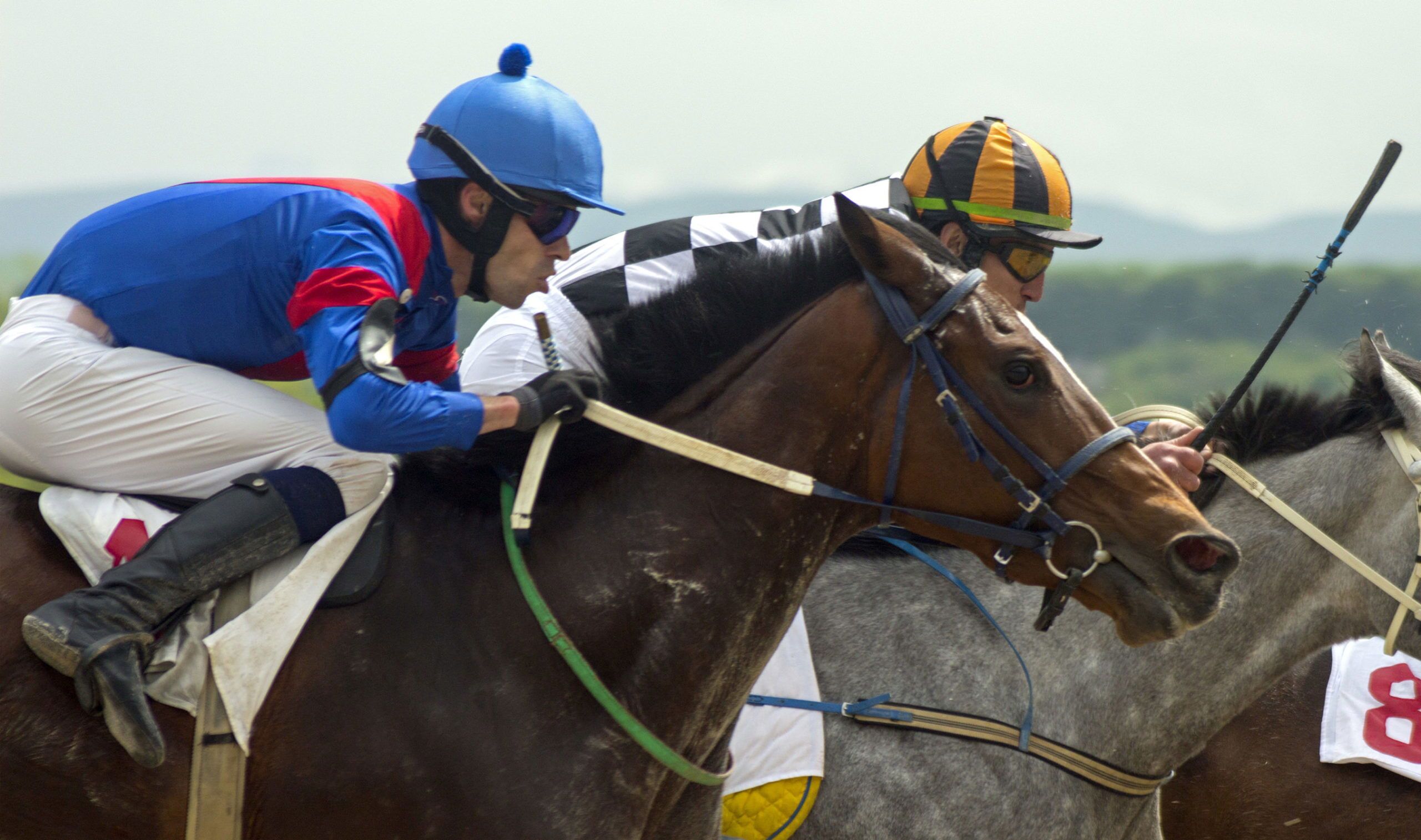 Horse racing in Pyatigorsk