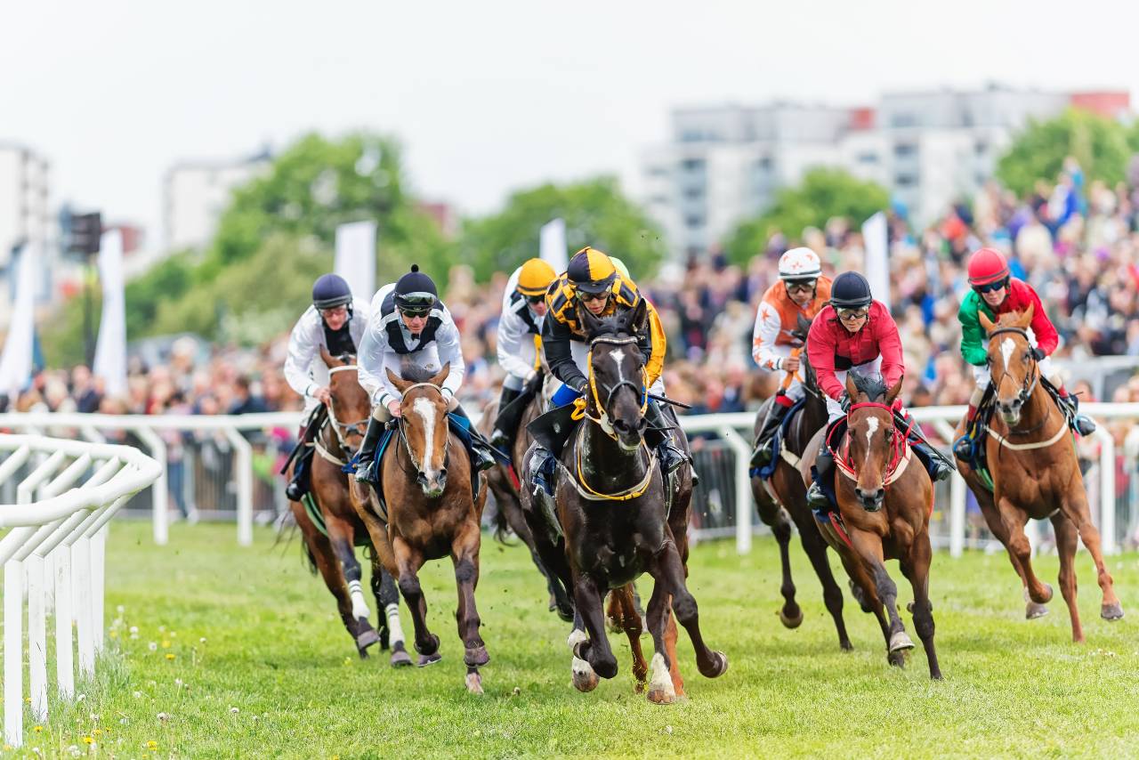 race_publiek