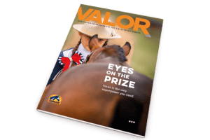 Mockup_Valor_Cover-NL
